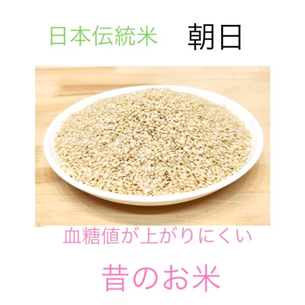 自然栽培　朝日米（玄米1kg）香川県産　大正時代誕生の在来米　血糖値が上がりにくいお米　農薬・化学肥...