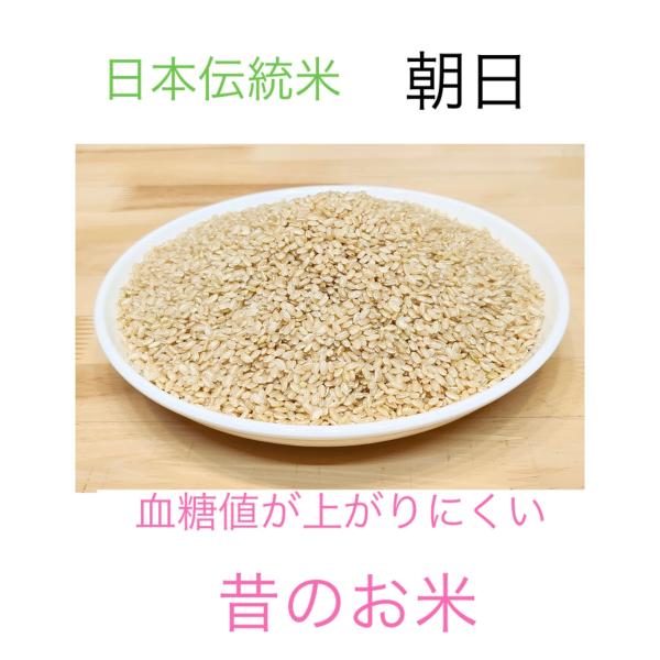 自然栽培　朝日米（玄米3kg）　香川県産　血糖値が上がりにくいお米　大正時代誕生の在来米