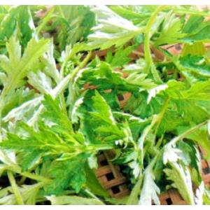 昔ながらの野草生活 ヨモギ茶 23g 瓶入りの詳細画像1
