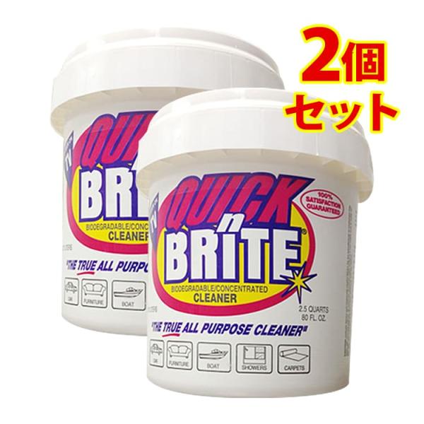 クイックブライト 2個セット 洗剤革命万能クリーナー 固形タイプ