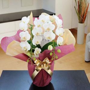 プリザーブドフラワーブーケ/白バララウンドブーケ（グリーン