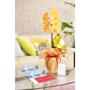 花とギフトのセット　選べる花色のカラー胡蝶蘭　彩 - irodori -　1本立（暖色系）と商品券（VJAギフトカード10000円）【送料・カード・ラッピング無料】