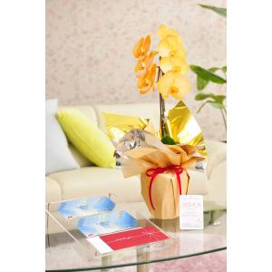 花とギフトのセット　選べる花色のカラー胡蝶蘭　彩 - irodori -　1本立（暖色系）と商品券（JTB旅行券10000円）【送料・カード・ラッピング無料】