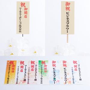 観葉植物 パキラ 10号 ダークブラウンバスケ...の詳細画像2