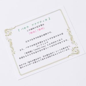 観葉植物 パキラ 10号 ダークブラウンバスケ...の詳細画像4