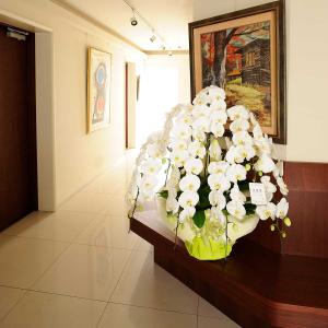 高級胡蝶蘭7本立（白）　7万円コース