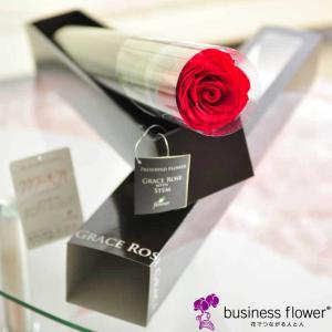 プリザーブドフラワー　Luxury Rose　チェリーレッド（FL092-05）｜biz-hana