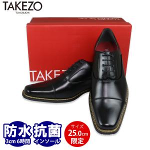 TAKEZO（タケゾー） ビットローファー メンズ ビジネスシューズ 防水