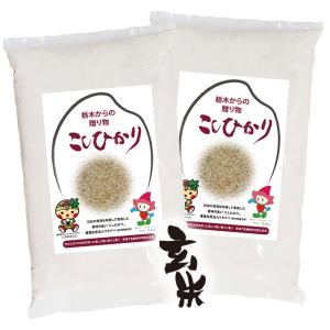 令和4年産 新米 コシヒカリ こしひかり 玄米 10kg 栃木県 農業生産法人ワタナベ 水稲うるち米 単一原料米 にほんあぐりたうん wkg10r4a