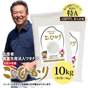 令和4年産 新米 コシヒカリ こしひかり 無洗米 10kg 栃木県 農業生産法人ワタナベ 水稲うるち米 単一原料米 にほんあぐりたうん wkm10r4a