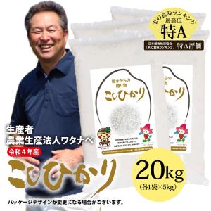 令和4年産 新米 コシヒカリ こしひかり 無洗米 20kg 栃木県 農業生産法人ワタナベ 水稲うるち米 単一原料米 にほんあぐりたうん wkm20r4a