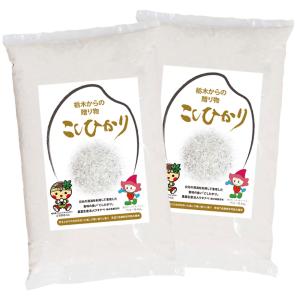 令和4年産 新米 コシヒカリ こしひかり うるち 精米 10kg 栃木県 農業生産法人ワタナベ 水稲うるち米 単一原料米 にほんあぐりたうん wks10r4a