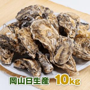 殻付き生牡蠣 岡山県 日生産 牡蠣 | 10kgパック ナイフ...