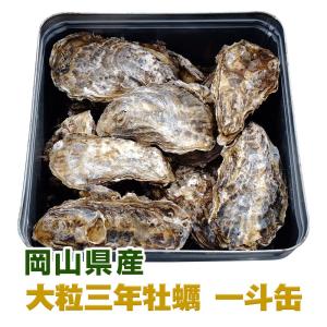 【大粒殻付2年カキ】 一斗缶約90個〜100個前後(10kg) 岡山県 邑久産 ナイフ、軍手付き  生食可 送料無料 殻付き カキ 殻付き牡蠣