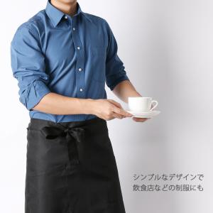 ワイシャツ 長袖 レギュラーカラー カラーシャ...の詳細画像3