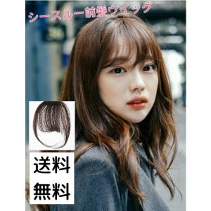 前髪ウィッグ 自然 ２タイプ４カラー エクステ シースルーバング