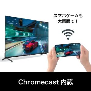 【未開封未使用・代引不可】 JVC 43 V型...の詳細画像2