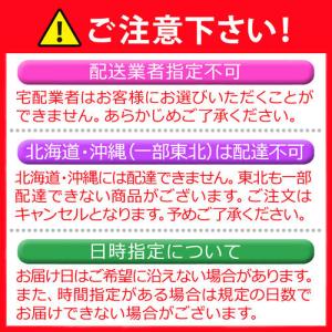 ZIP めざましテレビ ヒルナンデスで紹介 ダ...の詳細画像2