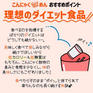 糖質オフ カップ麺 選べる 12食 こんにゃく...の詳細画像5