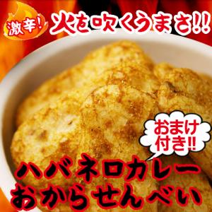 低カロリー ハバネロカレー おからせんべい ダイエット食品 ハバネロ カレー おから煎餅 送料無料 となりの雑貨屋さん 通販 Yahoo ショッピング