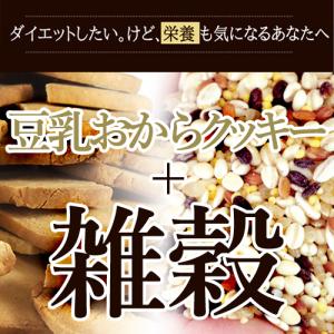 ダイエットフード 豆乳 ヘルシー お菓子 ダイ...の詳細画像1