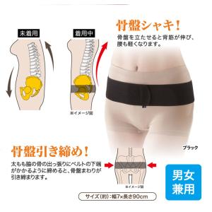 腰痛サポートベルト ゴム 細い 骨盤矯正 ダイ...の詳細画像2