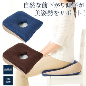 メーカー直送】ハイブリッド腰クッション エルゴバックス‐EB09150 骨盤