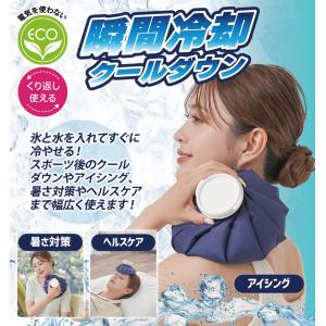 【メール便送料無料】 氷嚢 スポーツ アイシン...の詳細画像1