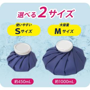 【メール便送料無料】 氷嚢 スポーツ アイシン...の詳細画像4