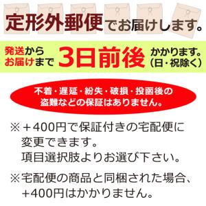 【メール便送料無料】 氷嚢 スポーツ アイシン...の詳細画像5