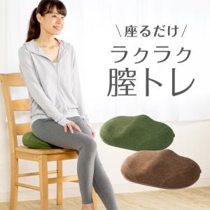 EFFECTIM エフェクティム クイック フェイシャル トレーナー EFM05J +