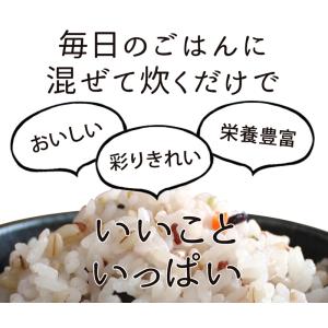 【2個セット】50 雑穀 国産 雑穀ブレンド ...の詳細画像3