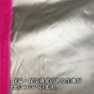 布 生地 ニューパーライト 保冷 保温 生地 ...の詳細画像1
