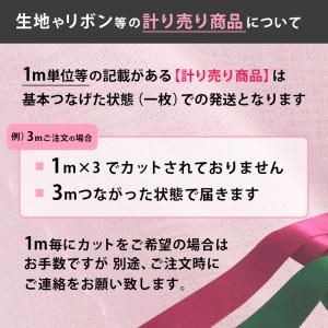 チロリアンテープ 幅広 1m単位 花柄模様 (...の詳細画像2