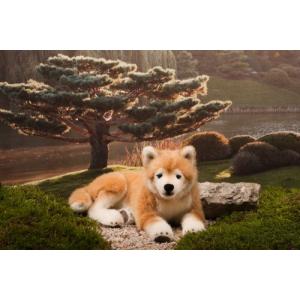 KOSEN （ケーセン社） 柴犬 伏せ - 最安値・価格比較 - Yahoo