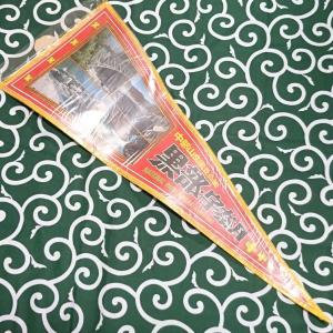 送料無料)宮島 昭和レトロ ご当地 観光地 旅行 記念 お土産 全長62cm