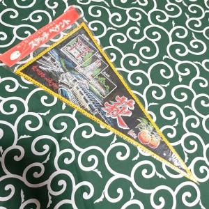 送料無料)日光 昭和レトロ ご当地 観光地 旅行 記念 お土産56cm