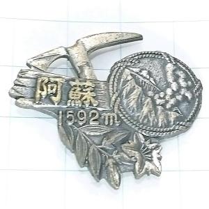 名探偵コナン　警察学校組　ファイブポインテッド•ペンダント 再販※【2022年8月下旬発送予定】名探偵コナン ファイブポイン