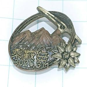 送料無料)きんぎょ注意報！ ぎょぴちゃん☆キャラクター ピンバッジ