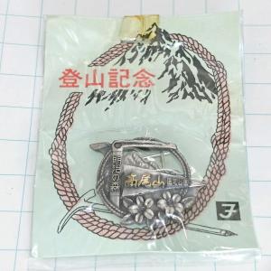 常念岳（じょうねんだけ）ピンバッジ : ピンバッジ・BIGWAVE - 通販