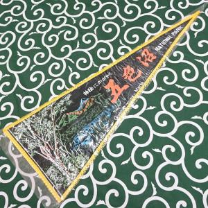 送料無料)EXPO70 大阪万博 中国パビリオン 記念メダル A21506