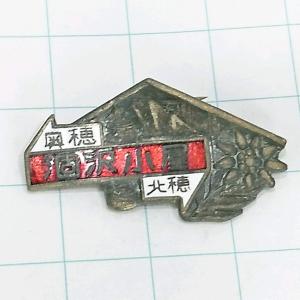 送料無料)未使用 富士山 登頂記念 Mt.FUJI 3776M 観光 旅行 登山 記念