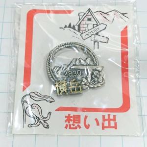 送料無料)鉢高原 観光 旅行 登山 記念 山バッジ ピンバッジ PINS