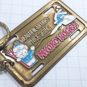 送料無料)成田山 切符型 観光 旅行 登山 記念 キーホルダー A29740