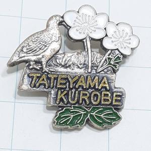 送料無料)1976 モントリオールオリンピック 記念メダル A13892