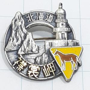 送料無料)天橋立 昭和レトロ ご当地 観光地 登山 山登り 旅行 記念 山