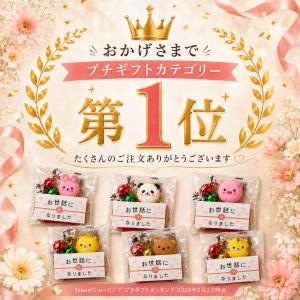 プチギフト 退職 お菓子 異動 お礼 送別会 ...の詳細画像3