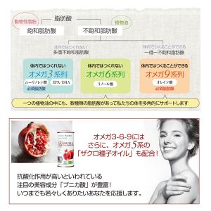 公式 ブラックペイント 飲む美容オイル オメガ...の詳細画像5