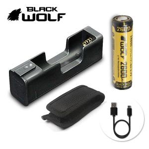 電池充電池セット 18650リチウムイオン電池 +充電器  Li-1200 microUSB 充電池