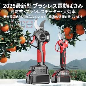 剪定ばさみ 充電式 高枝切り 切断直径50mm...の詳細画像1
